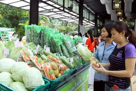Ảnh minh họa. (Nguồn: TTXVN)