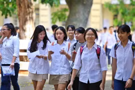 Ảnh minh họa. (Nguồn: TTXVN)