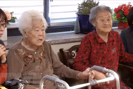 Các nạn nhân bị bắt làm 'phụ nữ mua vui' theo dõi báo cáo về thỏa thuận Hàn Quốc-Nhật Bản tại Gwangju, phía Đông Seoul, ngày 27/12/2017. (Nguồn: Yonhap/TTXVN)