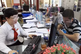 Ảnh minh họa. (Nguồn: TTXVN)