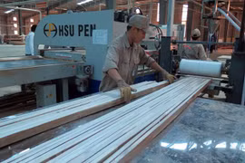 Hoạt động tại một nhà máy chế biến gỗ. (Nguồn: TTXVN)