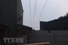 Ảnh minh họa. (Nguồn: TTXVN)