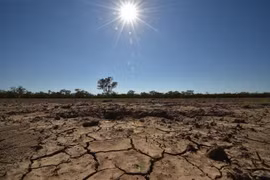  Cảnh khô hạn tại thị trấn Walgett, Australia. (Ảnh: AFP/TTXVN)