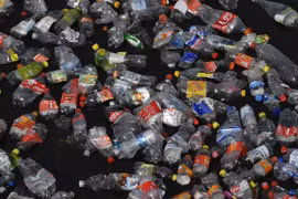 Rác thải nhựa trôi trên sông Spree ở Berlin, Đức ngày 26/9/2018. (Ảnh: AFP/ TTXVN)