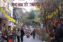 Không gian chợ hoa Hàng Lược chiều 2/2. (Ảnh: Hoàng Hiếu/TTXVN)