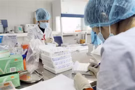 Xét nghiệm các đối tượng F1, F2, F3 của những bệnh nhân đã được phát hiện. (Ảnh: Minh Quyết/TTXVN)