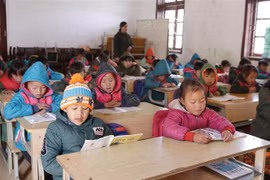 (Ảnh: Quý Trung/TTXVN)