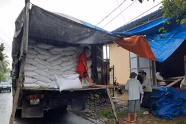 Cục Dự trữ Nhà nước khu vực Đà Nẵng xuất 100 tấn gạo dự trữ quốc gia cứu trợ khẩn cấp. (Ảnh minh họa. Quốc Dũng/TTXVN)