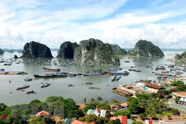 Phong cảnh Vịnh Hạ Long. (Nguồn: TTXVN)
