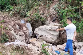 (Ảnh: Quốc Đạt/TTXVN)