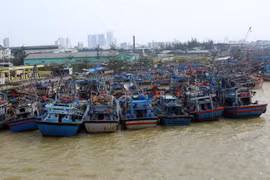 (Ảnh: Trần Lê Lâm/TTXVN)