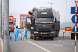 Cán bộ y tế tiến hành phun khử khuẩn buồng lái của xe nhập khẩu qua cầu Bắc Luân 2 - cửa khẩu quốc tế Móng Cái. (Ảnh: Minh Quyết/TTXVN)