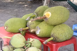 Ảnh minh họa. (Nguồn: Nguyễn Văn Trí/TTXVN)