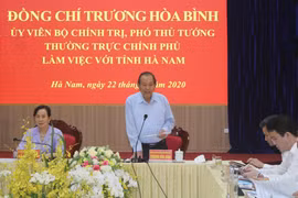 Phó Thủ tướng Thường trực Trương Hòa Bình phát biểu tại buổi làm việc. (Ảnh: Nguyễn Chinh/TTXVN)