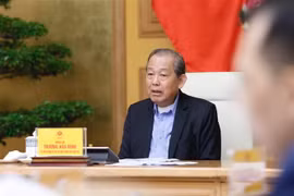 (Ảnh: Dương Giang/TTXVN)