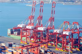 Container hàng hóa được bốc dỡ tại thành phố cảng Busan, Đông Nam Hàn Quốc. (Ảnh: AFP/TTXVN)