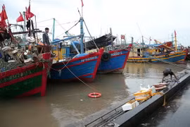 Tàu thuyền đánh cá đã neo đậu tại bến cá Ngọc Hải, quận Đồ Sơn, thành phố Hải Phòng. (Ảnh: An Đăng/TTXVN)