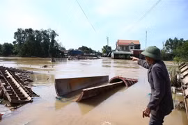 (Ảnh: Minh Quyết/TTXVN)
