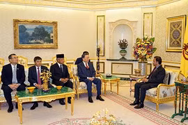 Việt Nam-Brunei tăng hợp tác trong lĩnh vực hai bên có thế mạnh