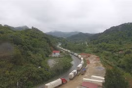 Xe nông sản ùn ứ dài trên Quốc lộ 1A lên cửa khẩu quốc tế Hữu Nghị, Lạng Sơn. (Ảnh: Quang Duy/TTXVN)