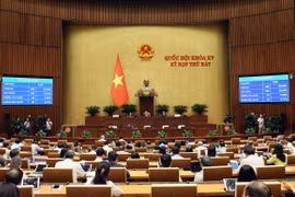 Quốc hội biểu quyết thông qua Luật Trật tự, an toàn giao thông đường bộ. (Ảnh: An Đăng/TTXVN)