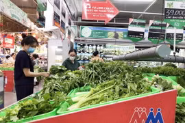 Người dân mua sắm tại siêu thị Mega Market. (Ảnh: Mỹ Phương/TTXVN)