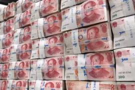 Ảnh minh họa. (Nguồn: globalriskinsights.com)