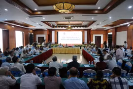 Quang cảnh hội thảo. (Ảnh: Hoàng Ngà/TTXVN)