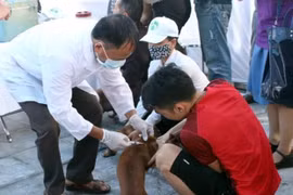 Tiêm vắcxin phòng dại cho đàn chó nuôi. (Ảnh minh họa: Đồng Thúy/TTXVN)