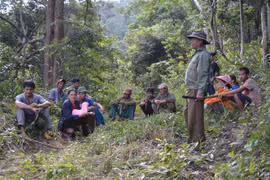 Người dân tham gia công tác tuần tra, bảo vệ rừng được giao khoán. (Ảnh: Hồng Điệp/TTXVN)