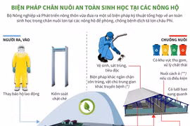 Chăn nuôi an toàn sinh học, phòng dịch tả lợn châu Phi.