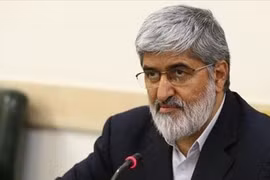Phó Chủ tịch Quốc hội Iran Ali Mottahari. (Nguồn: Majliseulamaehind.org)