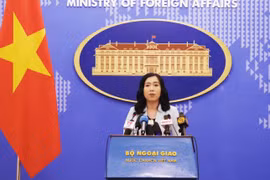 Người phát ngôn Bộ Ngoại giao Lê Thị Thu Hằng. (Ảnh: Lâm Khánh/TTXVN)