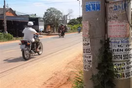 Tờ rơi quảng cáo tín dụng đen núp bóng dưới hình thức cho vay trả góp được dán tại các cột điện. (Nguồn: TTXVN)