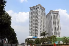 Ảnh minh họa. (Nguồn: TTXVN)
