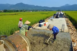 Ảnh minh họa. (Nguồn: TTXVN
