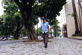Ảnh minh họa. (Nguồn: TTXVN)