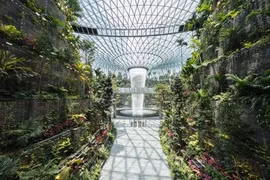 Một góc tổ hợp giải trí Jewel ở sân bay Changi. (Nguồn: Sân bay Changi)
