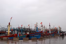 Ngư dân Quảng Trị đưa tàu cá cập Bến cá Cửa Việt đế tránh bão số 4. (Ảnh: Nguyên Lý/TTXVN)
