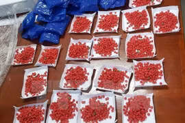 Tang vật một vụ buôn ma túy. (Ảnh minh họa. Nguồn: TTXVN)
