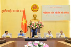 Chủ nhiệm Ủy ban Tư pháp Lê Thị Nga phát biểu tại phiên họp. (Nguồn: Quochoi.vn)