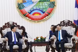 Thủ tướng Chính phủ Lào Thongloun Sisoulith (phải) tiếp Phó Thủ tướng Trịnh Đình Dũng. (Ảnh: Xuân Tú/TTXVN)