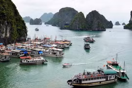 Vịnh Hạ Long. (Nguồn: TTXVN)