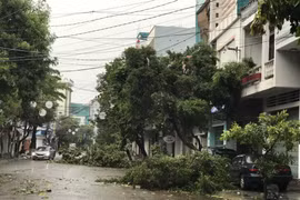 Tuyến đường ven biển Nguyễn Tất Thành (thành phố Đà Nẵng) đã có gió giật mạnh. (Ảnh: Văn Dũng/TTXVN)