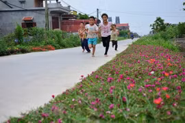Trẻ em xã Hải Đông, huyện Hải Hậu, Nam Định vui chơi trên con đường làng nông thôn mới. (Ảnh minh họa: Công Luật/TTXVN)
