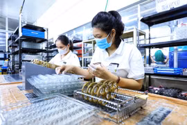Tính chung 2 tháng đầu năm, chỉ số sản xuất toàn ngành công nghiệp tăng 5,7% so với cùng kỳ năm trước. (Ảnh: TTXVN)