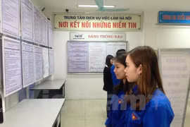 Lao động càng có trình độ chuyên môn thì tỷ lệ thất nghiệp càng cao. (Ảnh minh họa: PV/Vietnam+)