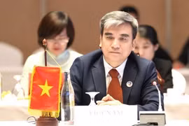 Ông Lưu Quang Tuấn, Vụ trưởng Vụ Hợp tác quốc tế, Bộ Lao động, Thương binh và Xã hội, phát biểu tại Hội nghị. (Ảnh: Đỗ Bá Thành/TTXVN)