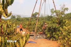 Ảnh minh họa. (Nguồn: TTXVN)