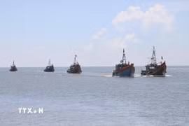 Tàu cá của ngư dân Nghệ An. (Nguồn: TTXVN)